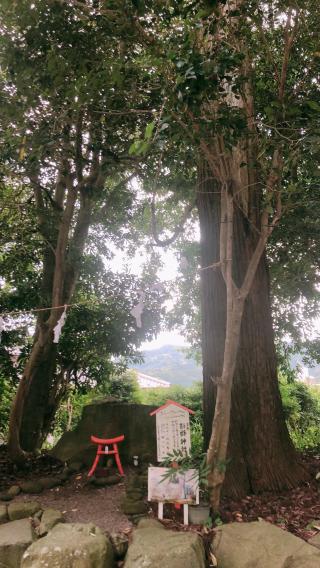 加江田神社の参拝記録( 14th moonさん)
