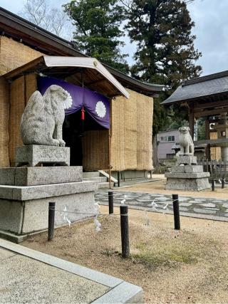 大宮売神社の参拝記録(さくらさん)