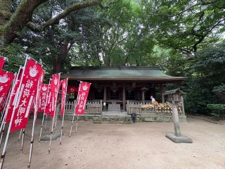筥崎宮　東末社の参拝記録(いけさん)