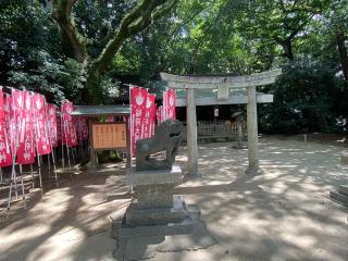 筥崎宮　東末社の参拝記録(スエさん)