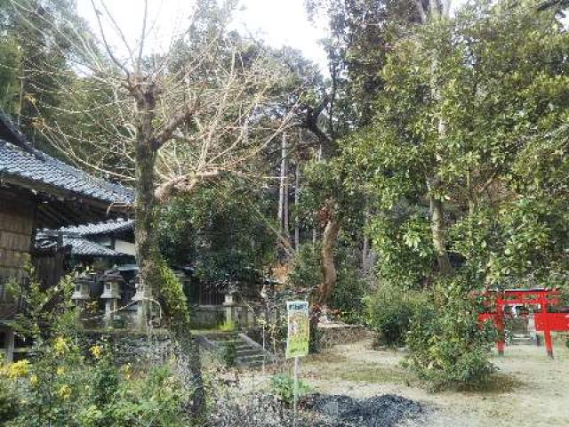 志都美神社の参拝記録8