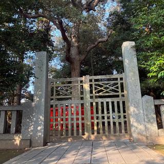 香椎宮　古宮の参拝記録(ワヲンさん)