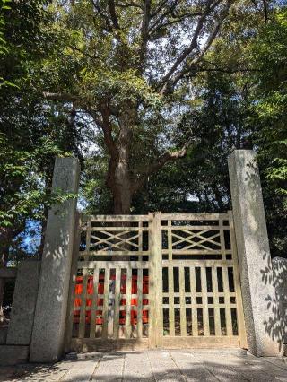香椎宮　古宮の参拝記録(こまいぬおさん)