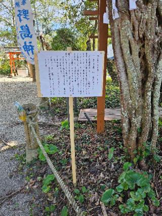野島神社の参拝記録(もももさん)