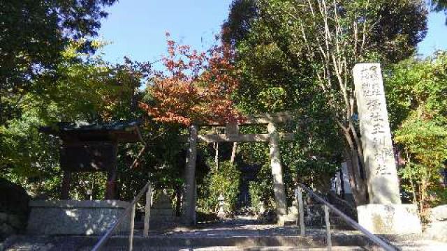 奈良県桜井市慈恩寺381 玉列神社の写真3