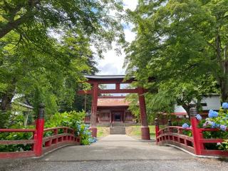 高照神社の参拝記録(さおりさん)