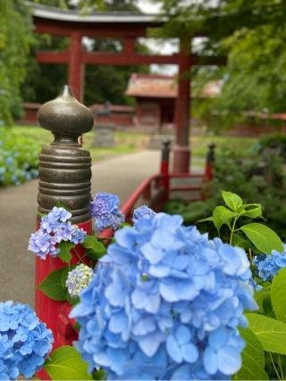 高照神社の参拝記録(さおりさん)