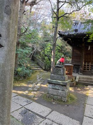 四合稲荷神社(赤坂氷川神社摂社)の参拝記録(⛩️🐍🐢まめ🐢🐍⛩️さん)