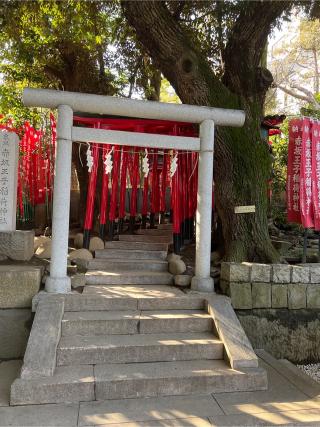 赤坂王子稲荷神社(乃木神社境内社)の参拝記録(⛩️🐍🐢まめ🐢🐍⛩️さん)