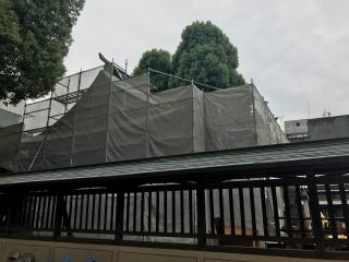 日吉神社（久留米宗社）の参拝記録(筑紫狼さん)