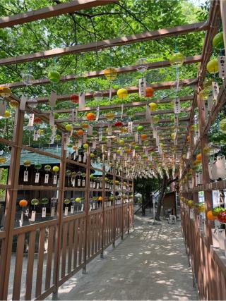 現人神社(那珂川市)の参拝記録(みほさん)