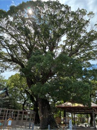 現人神社(那珂川市)の参拝記録(みんきちさん)