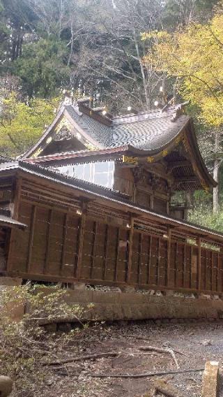 南湖神社の参拝記録(ステイさん)