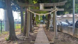 阿波洲神社の参拝記録(まっちゃんさん)