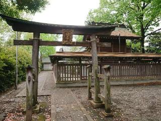 八幡大神社（三鷹八幡大神社）の参拝記録(🐺⛩️🐺さん)