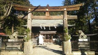 蒲生神社の参拝記録(優雅さん)