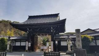乃木神社の参拝記録(いっちーさん)