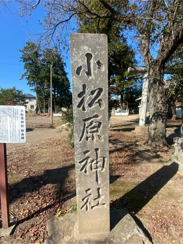 埼玉県鴻巣市小松1-10-18 小松原神社の写真3