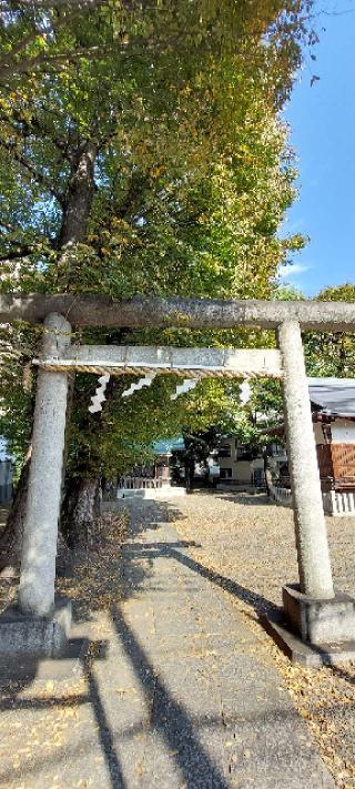 西早稲田天祖神社の参拝記録(まーぼーさん)