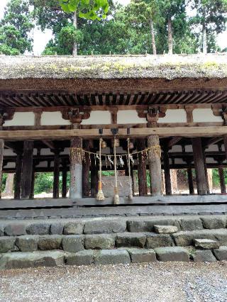 新宮熊野神社の参拝記録(zx14rさん)