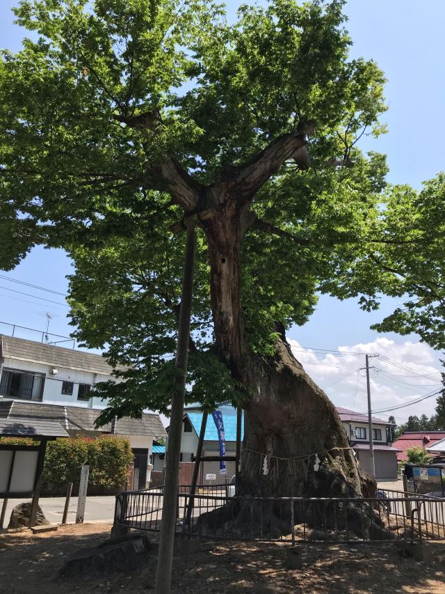 福島県喜多方市慶徳町新宮字熊野2258 新宮熊野神社の写真6