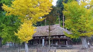 新宮熊野神社の参拝記録(ひろ神社仏閣さん)