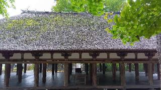 新宮熊野神社の参拝記録(ひろ神社仏閣さん)