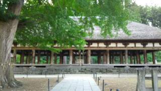 新宮熊野神社の参拝記録(優雅さん)