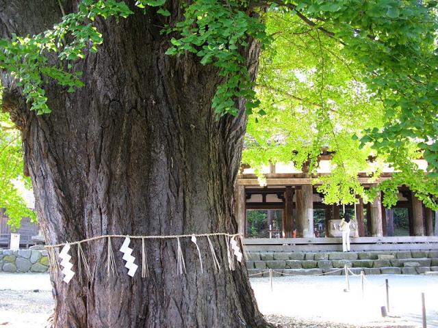 福島県喜多方市慶徳町新宮字熊野2258 新宮熊野神社の写真3