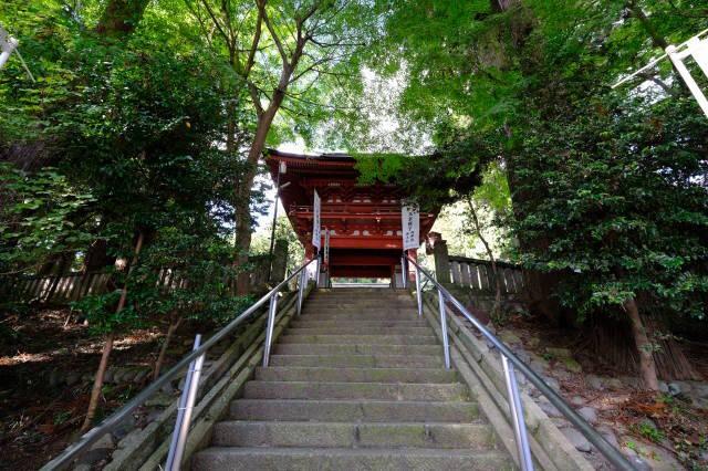 木幡神社の参拝記録(たーこさん)