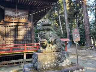 木幡神社の参拝記録(飛成さん)