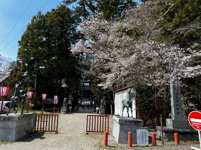 相馬中村神社の参拝記録8