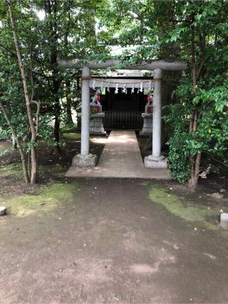 上石原若宮八幡神社の参拝記録(こーちんさん)