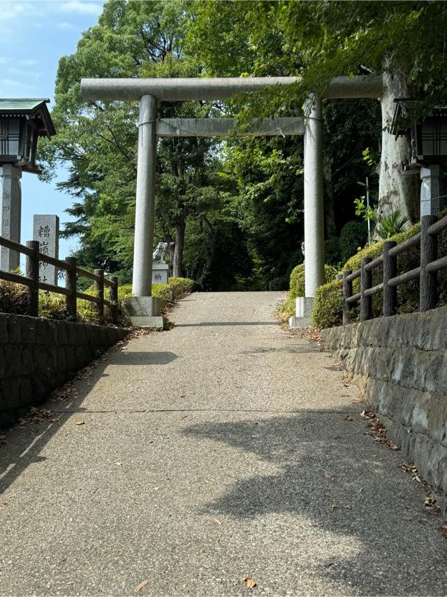 糟嶺神社の参拝記録5