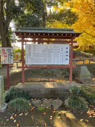 中嶋神社の参拝記録(こーちんさん)
