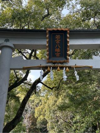 若宮八幡宮の参拝記録(北辰さん)