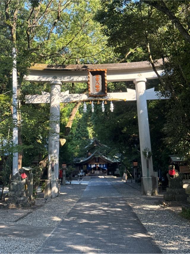 若宮八幡宮の参拝記録4