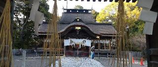 飯野八幡宮の参拝記録(REIさん)