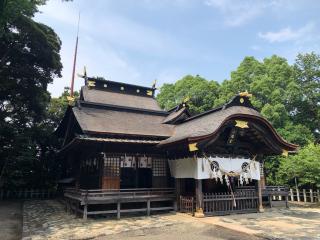 飯野八幡宮の参拝記録(水戸のミツルさん)