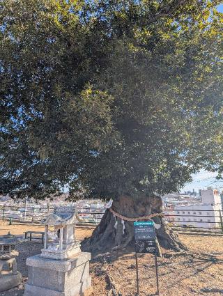 植田八幡神社の参拝記録(パスカルさん)
