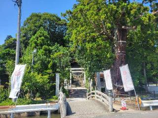 大國魂神社の参拝記録(まっきーさん)