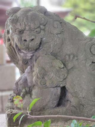 大國魂神社の参拝記録(たけちゃ～ん⚾さん)