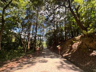 薬師神社（宮地嶽神社・奥の宮）の参拝記録(いけさん)