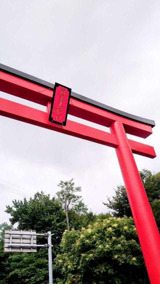 刈田嶺神社（山頂奥宮）の参拝記録(桃さん)