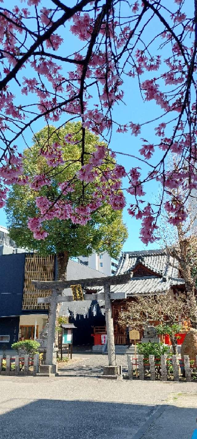 江島杉山神社の参拝記録(まーぼーさん)