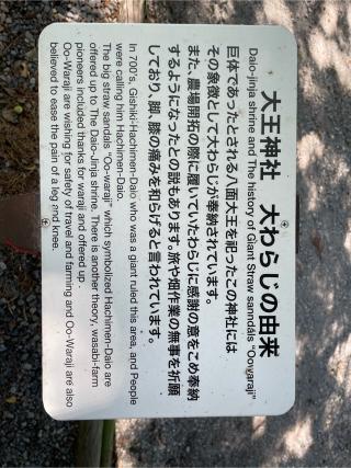 大王神社の参拝記録(haruさん)