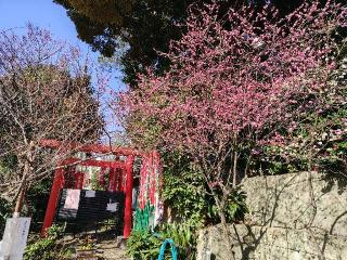 烏森稲荷神社の参拝記録(naniさん)