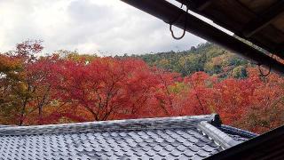 瑠璃光院の参拝記録(うさこさん)