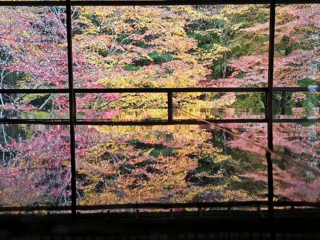 瑠璃光院の参拝記録4