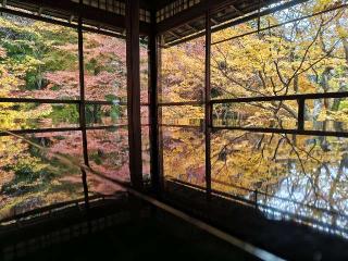 瑠璃光院の参拝記録(まっつんさん)